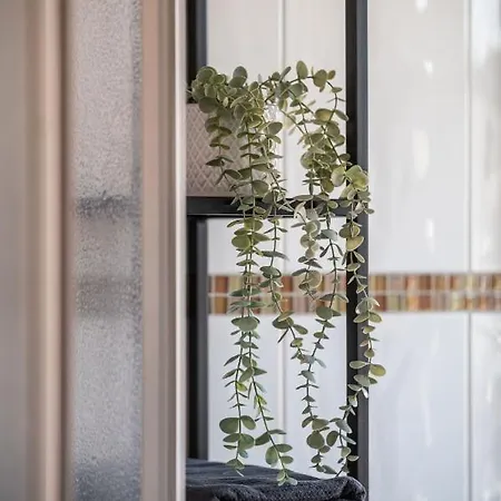 Premium - Ausblick - Kamin - Balkon - Smart Tv - Kaffeevollautomat Apartment Wernigerode