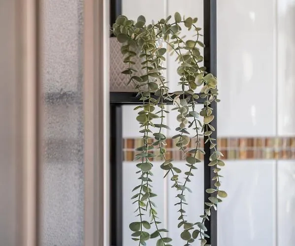 Premium - Ausblick - Kamin - Balkon - Smart Tv - Kaffeevollautomat Apartment Wernigerode